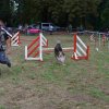 foire-haricots 2011-09-17et18
